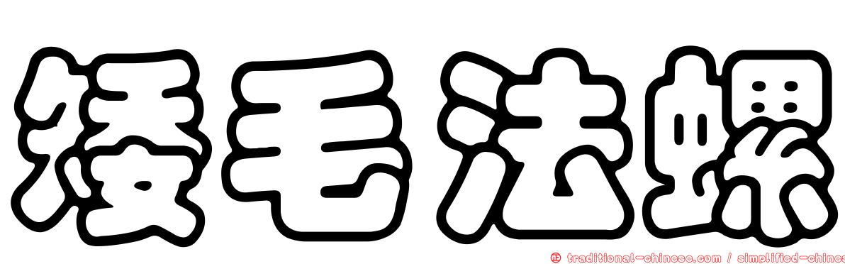 矮毛法螺