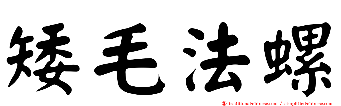 矮毛法螺