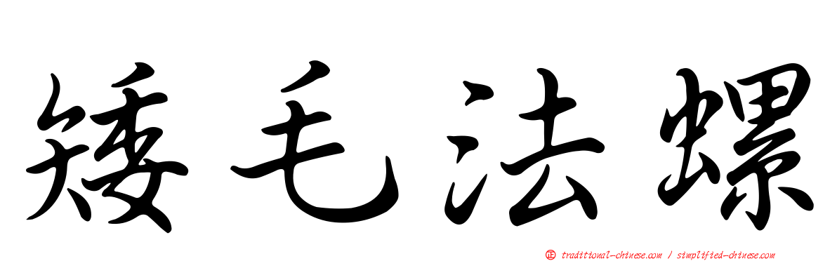 矮毛法螺