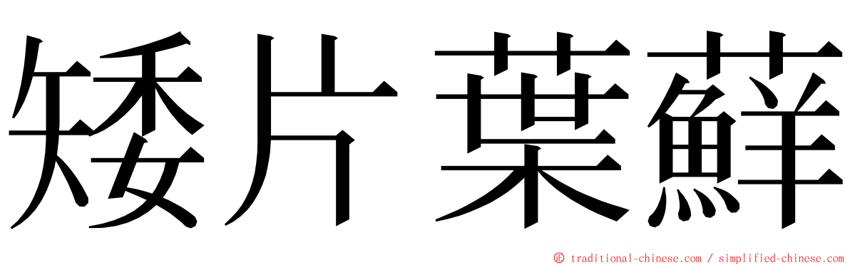 矮片葉蘚 ming font