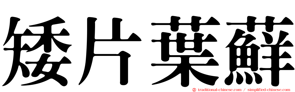 矮片葉蘚