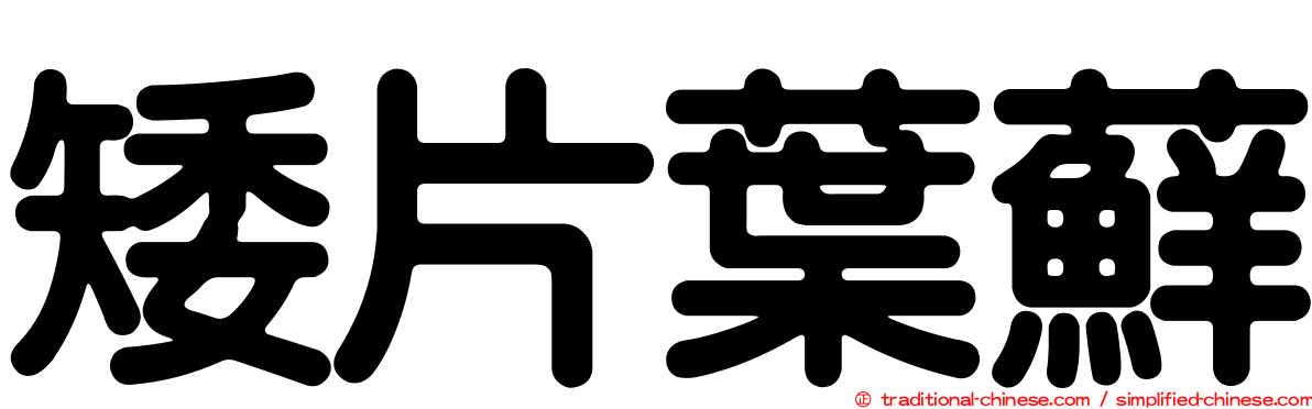 矮片葉蘚