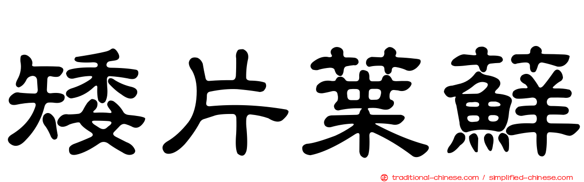矮片葉蘚