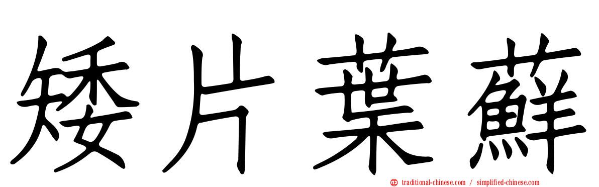 矮片葉蘚