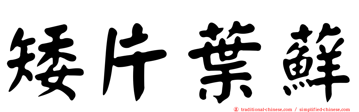 矮片葉蘚