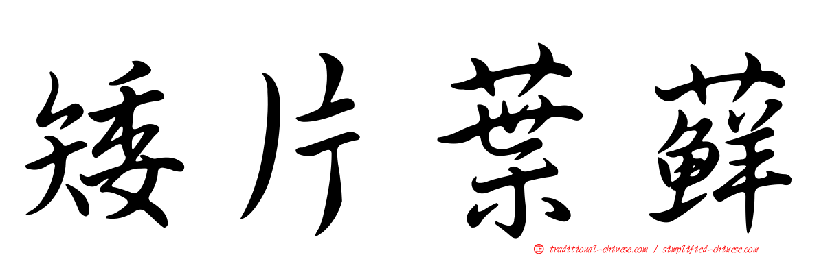 矮片葉蘚