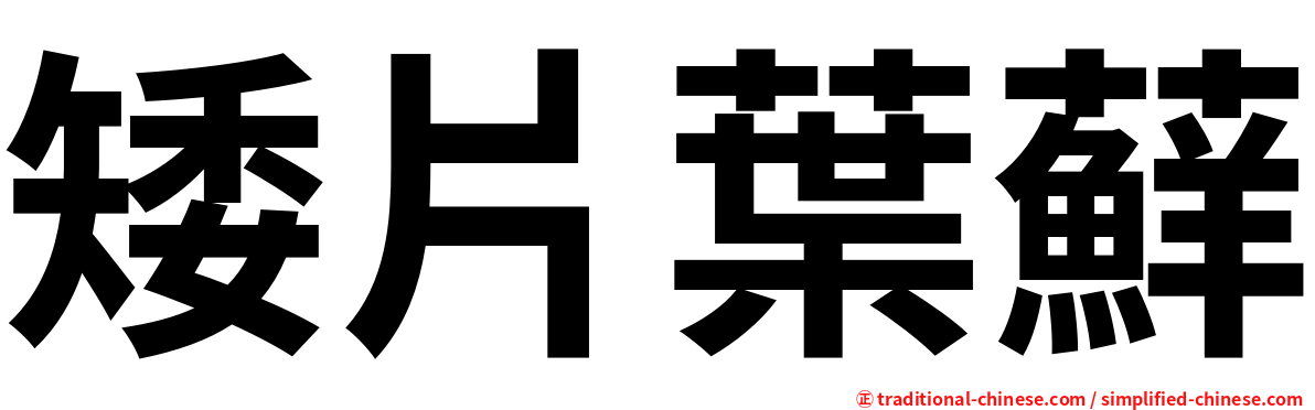 矮片葉蘚