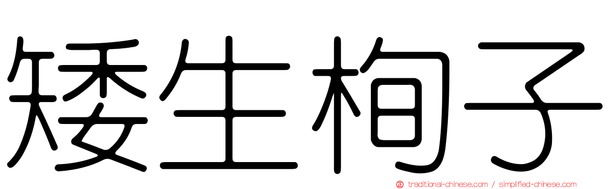 矮生栒子