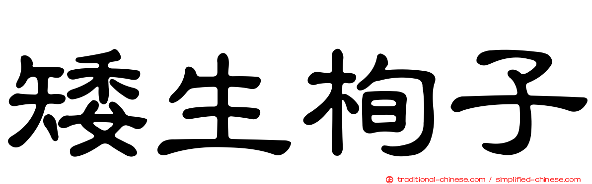 矮生栒子