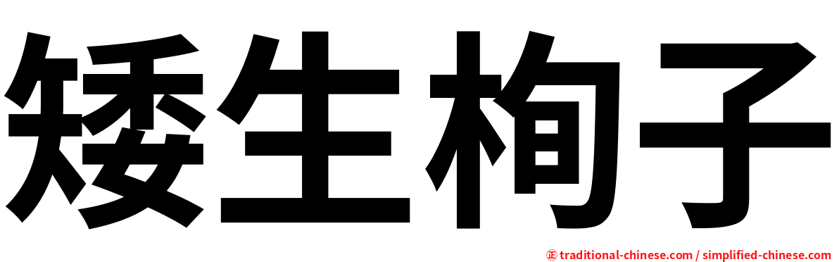 矮生栒子