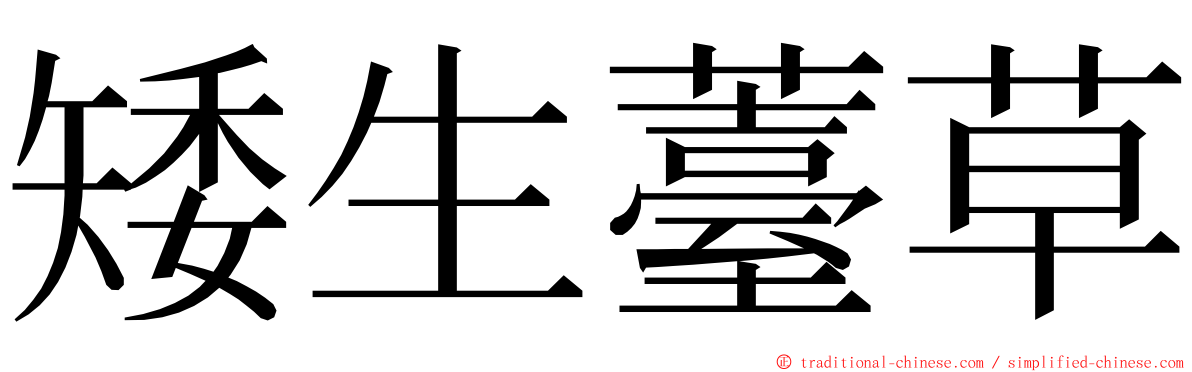 矮生薹草 ming font