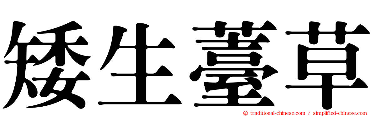 矮生薹草