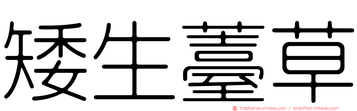 矮生薹草
