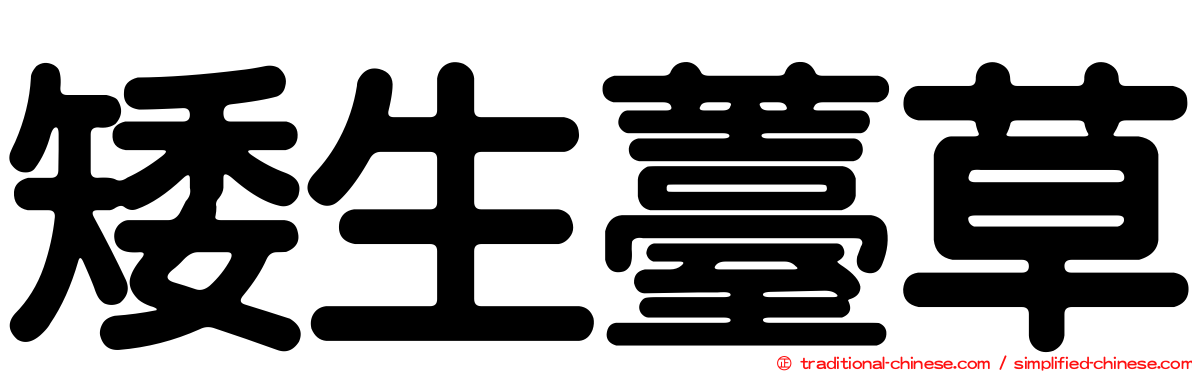 矮生薹草