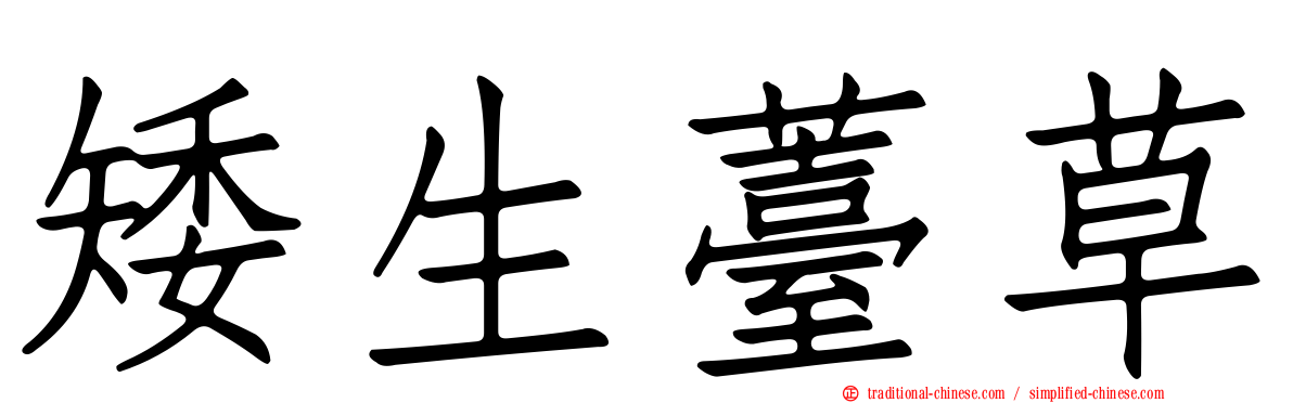 矮生薹草
