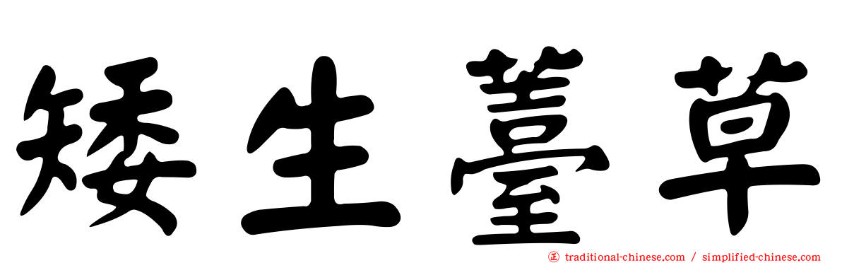 矮生薹草