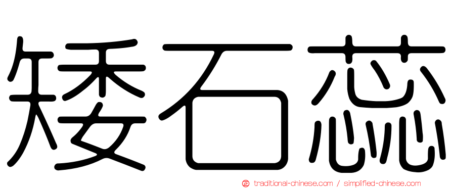 矮石蕊