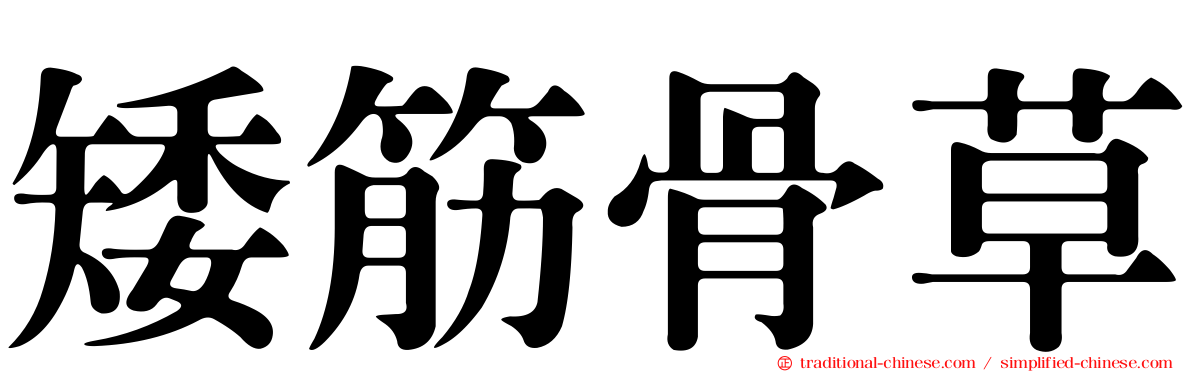 矮筋骨草