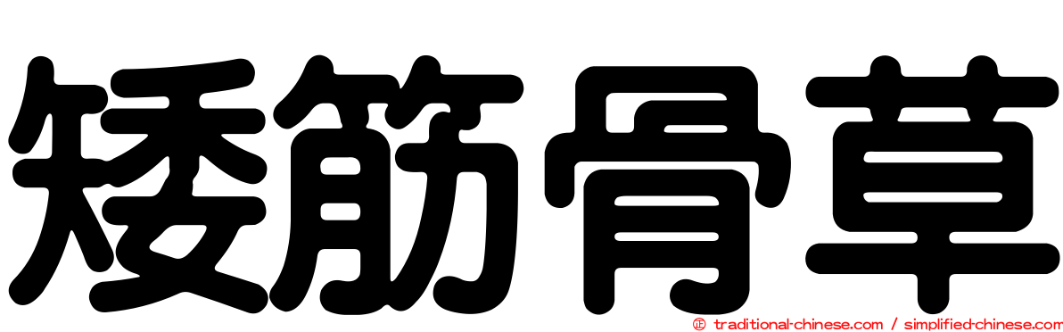 矮筋骨草