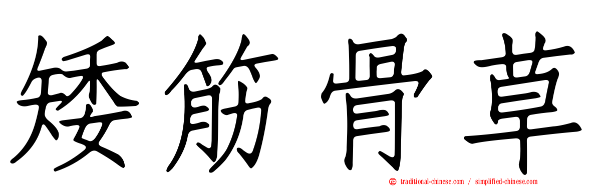 矮筋骨草
