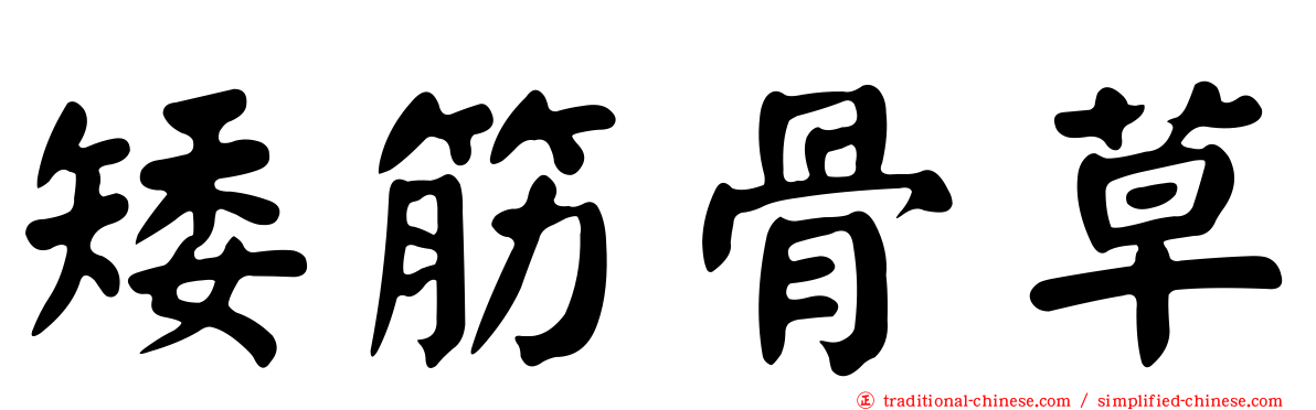 矮筋骨草
