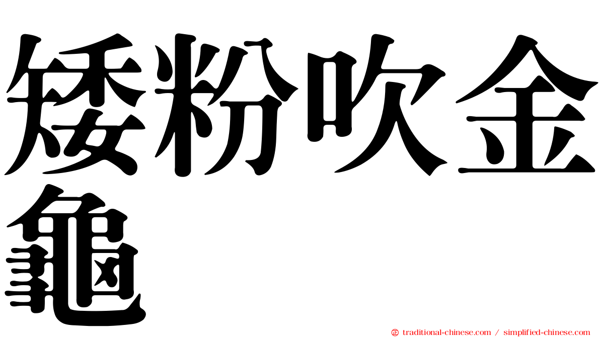 矮粉吹金龜