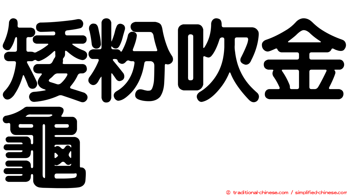 矮粉吹金龜