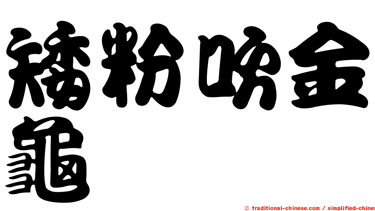 矮粉吹金龜
