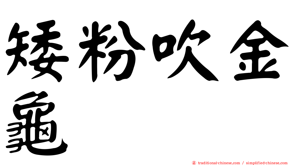 矮粉吹金龜