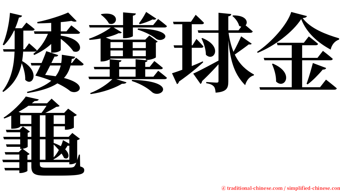 矮糞球金龜 serif font