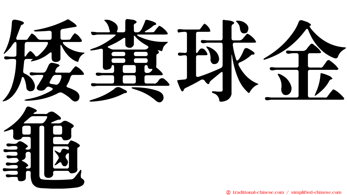 矮糞球金龜