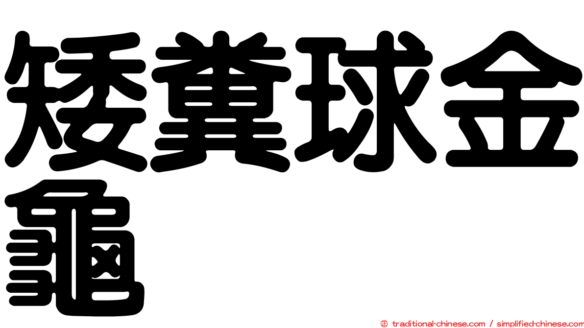 矮糞球金龜