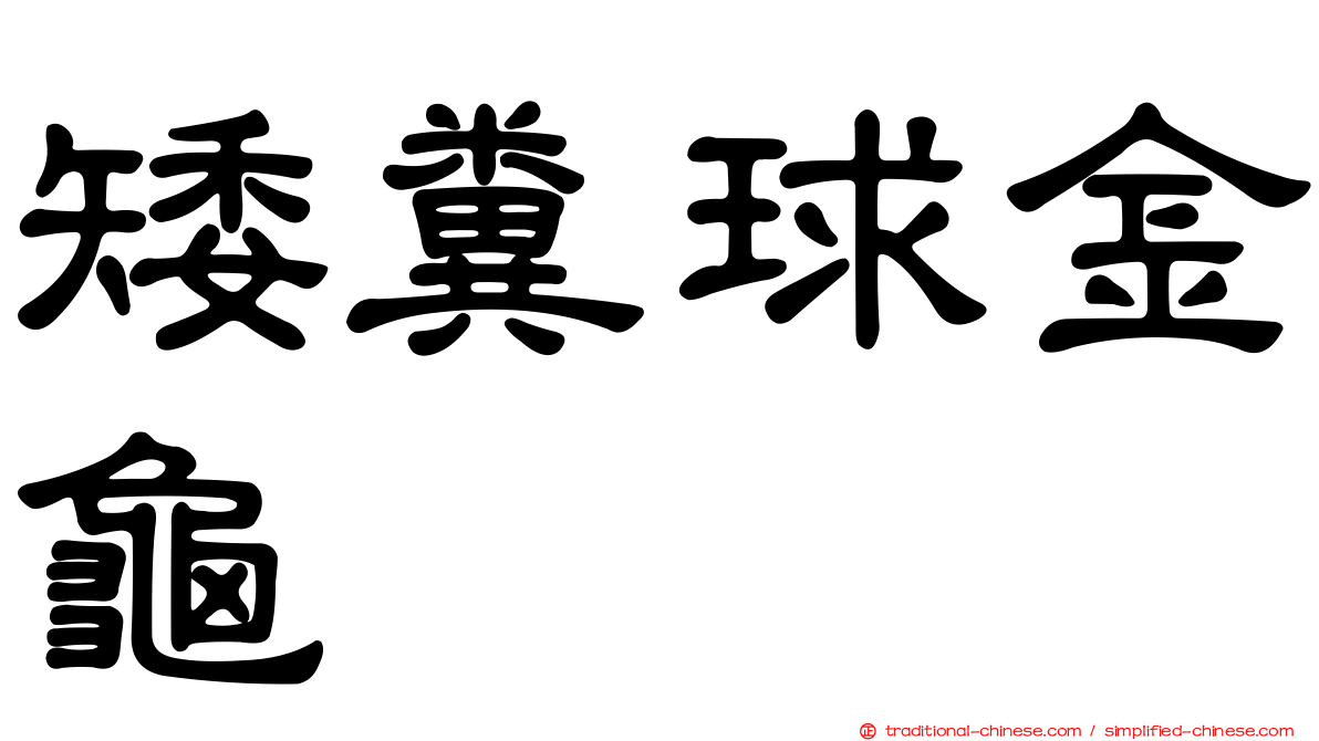 矮糞球金龜