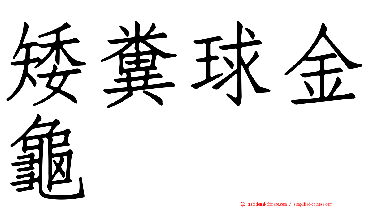 矮糞球金龜