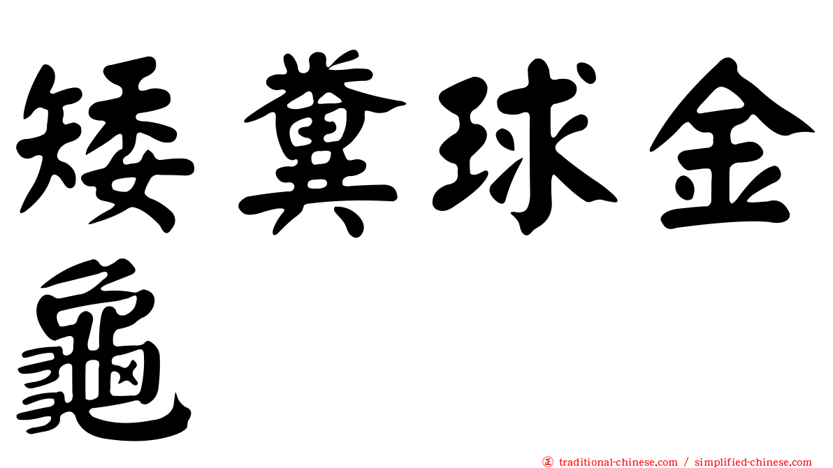 矮糞球金龜