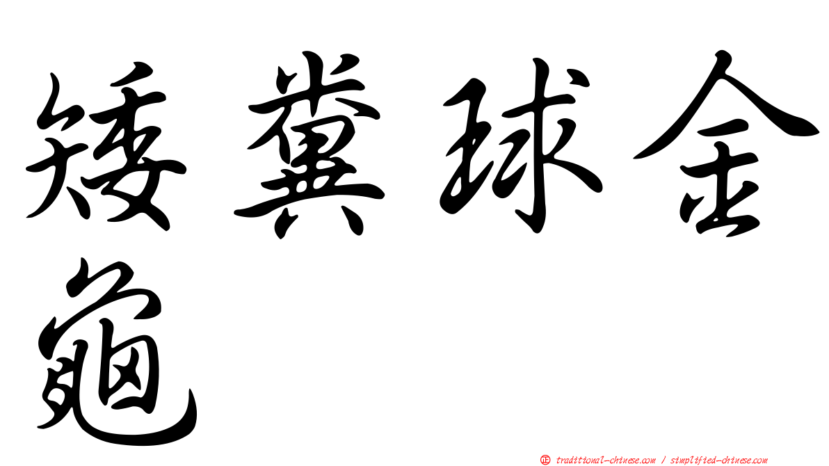 矮糞球金龜