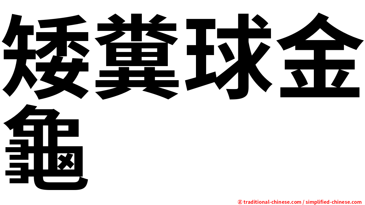 矮糞球金龜