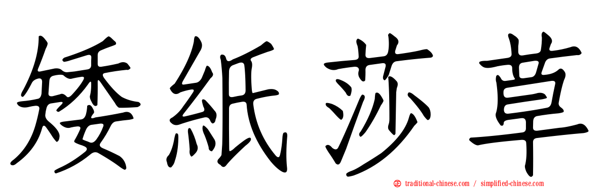 矮紙莎草