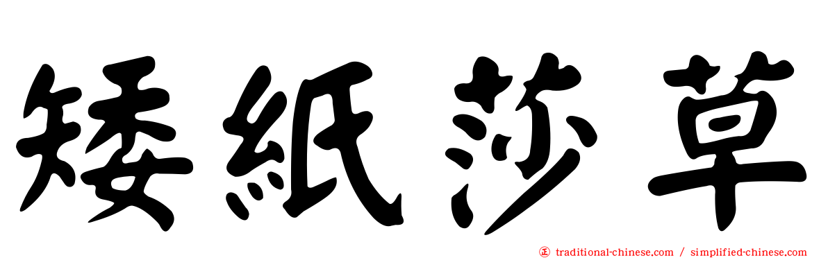 矮紙莎草