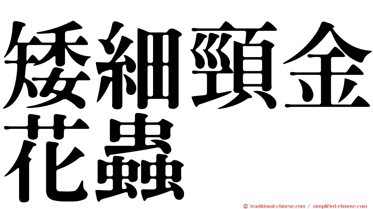 矮細頸金花蟲