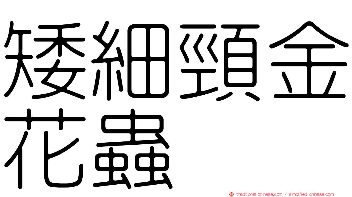 矮細頸金花蟲