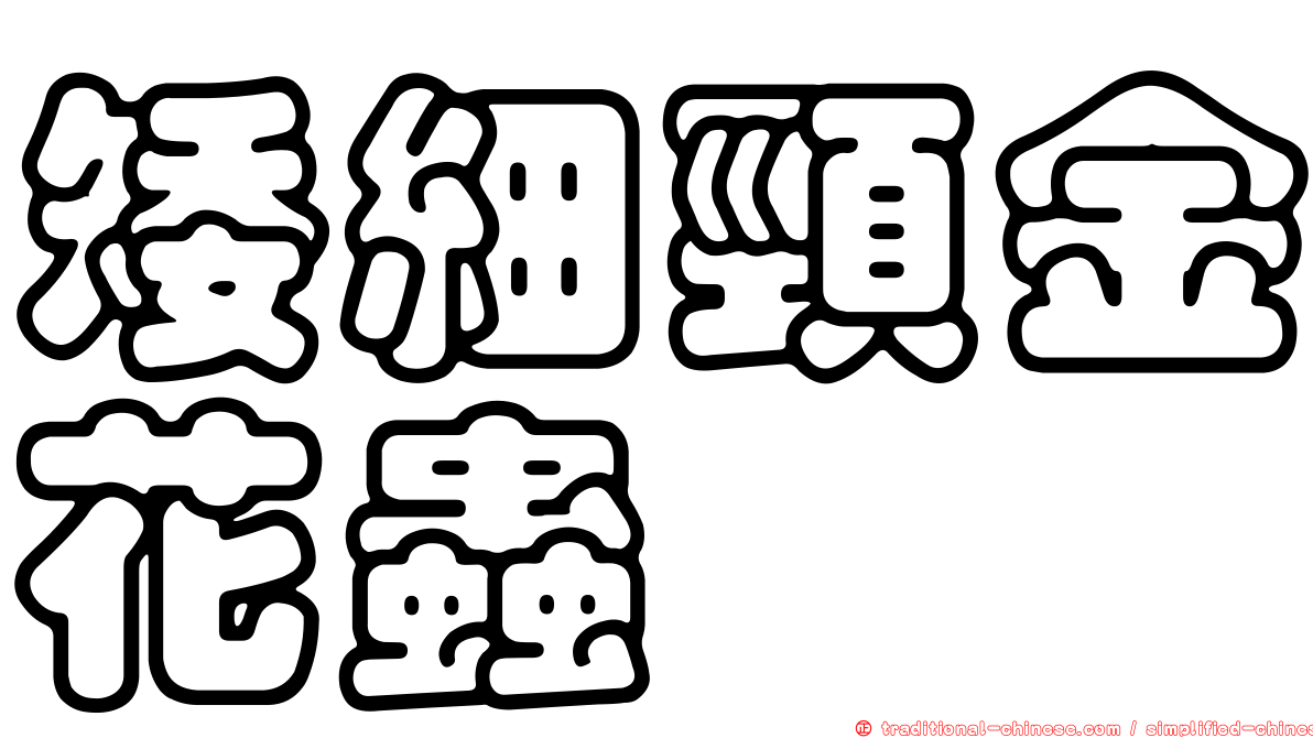 矮細頸金花蟲