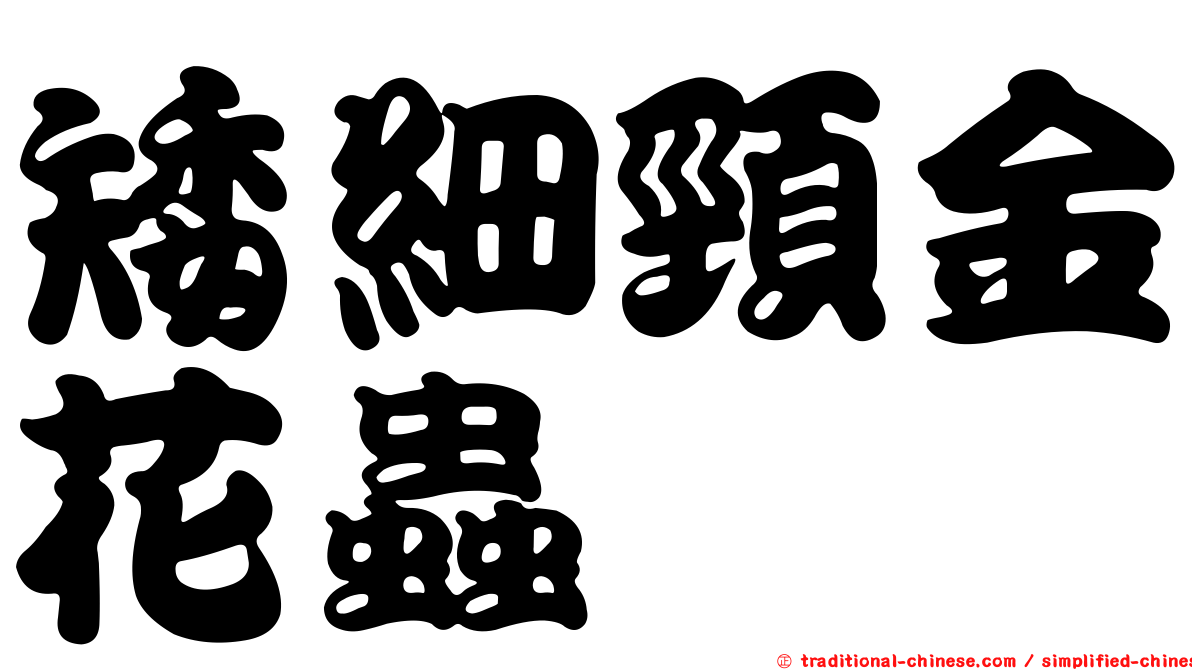 矮細頸金花蟲