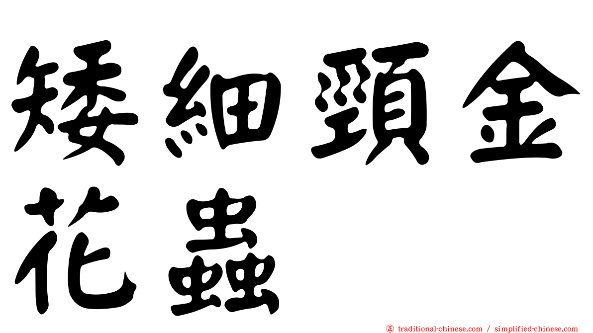 矮細頸金花蟲