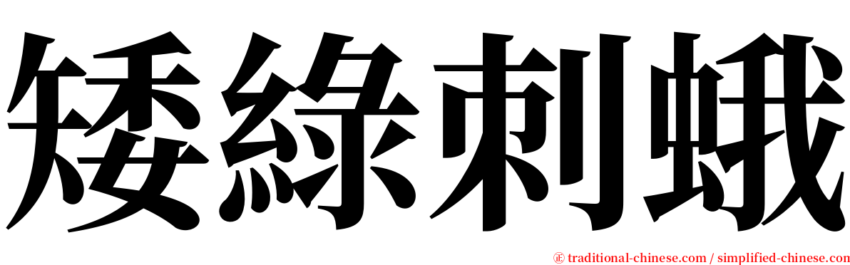 矮綠刺蛾 serif font