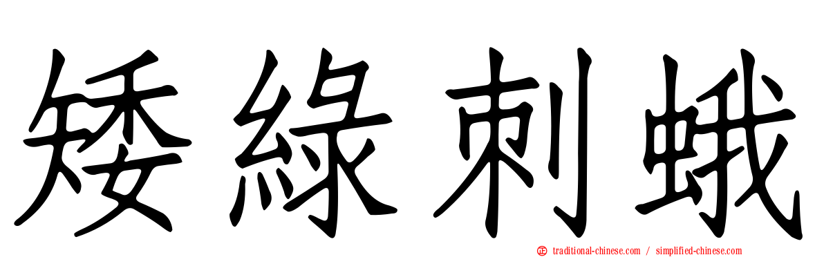 矮綠刺蛾