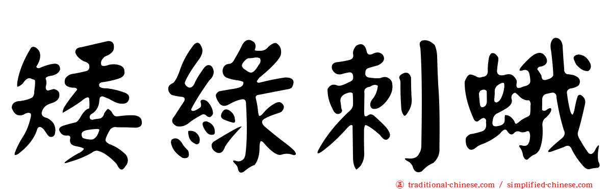 矮綠刺蛾