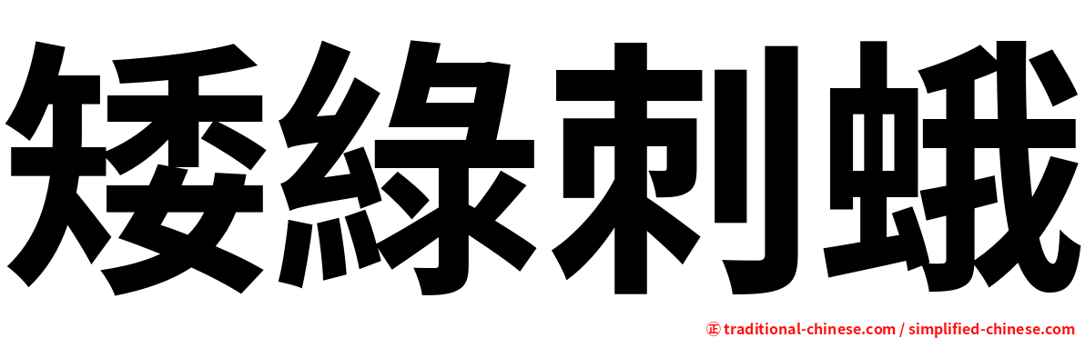 矮綠刺蛾
