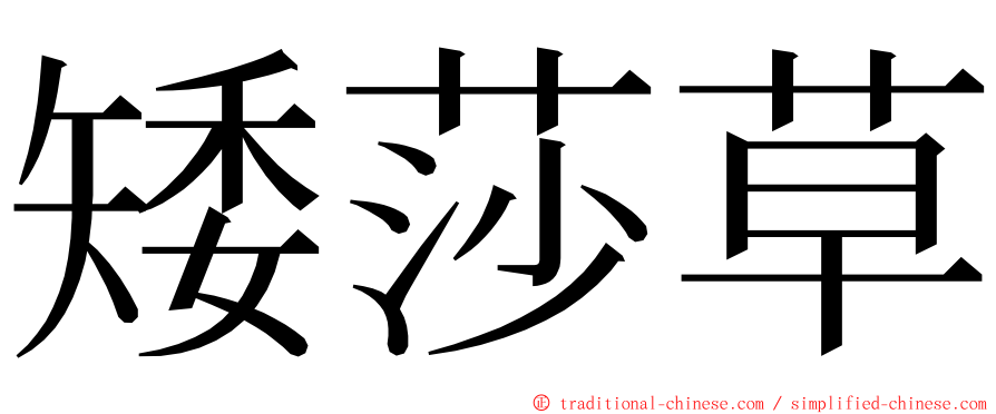 矮莎草 ming font