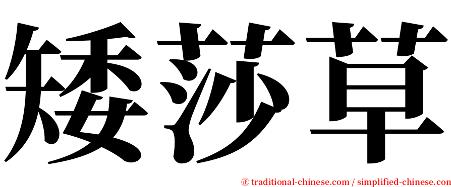 矮莎草 serif font
